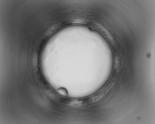 X0000116840257201001081504