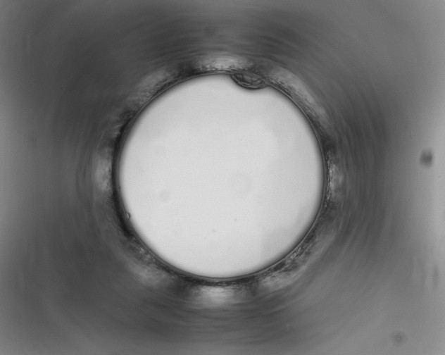 X0000116840259201001081505