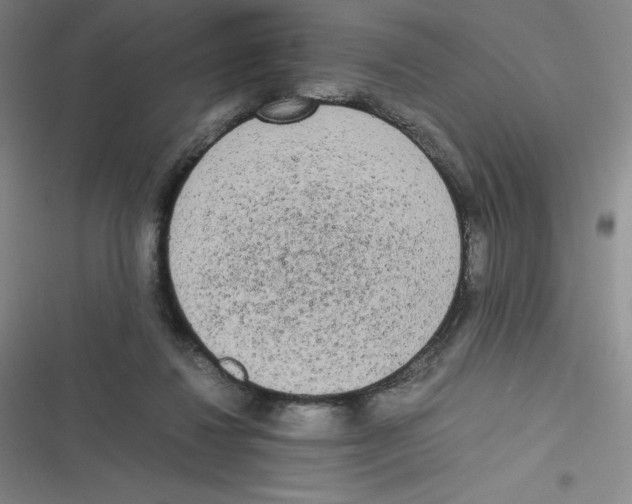 X0000116840260201001081505