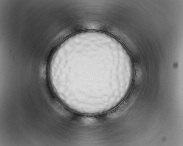 X0000116840262201001081505