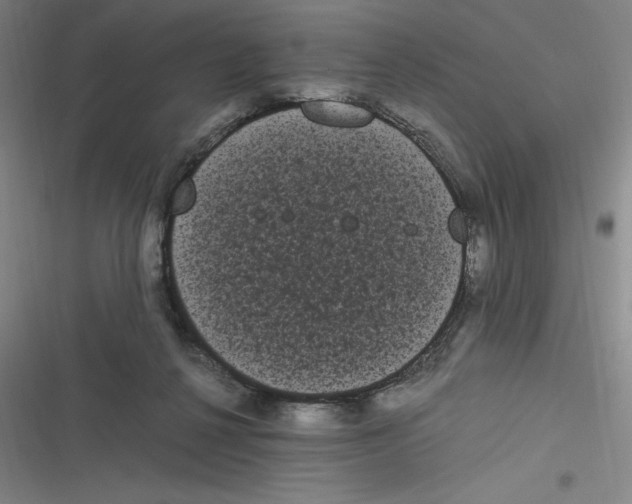 X0000116840264201001081505