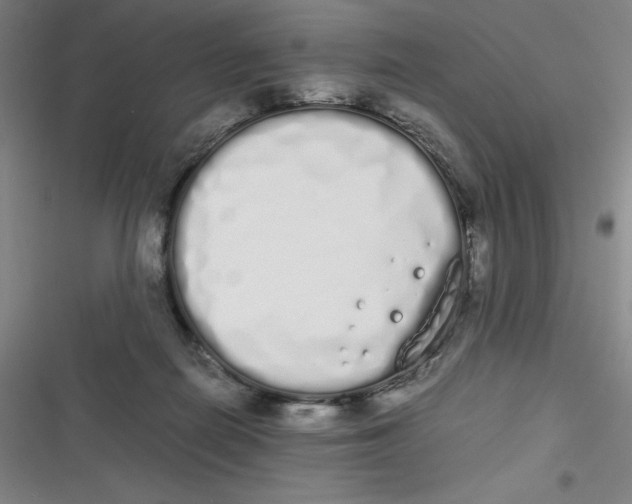 X0000116840266201001081505