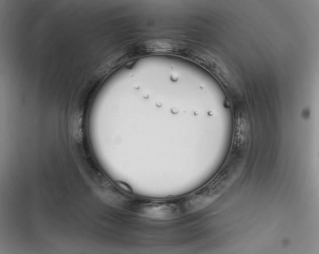 X0000116840267201001081505