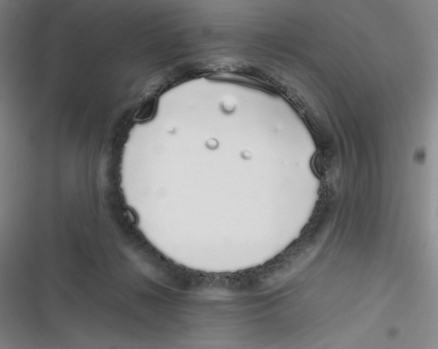 X0000116840268201001081505