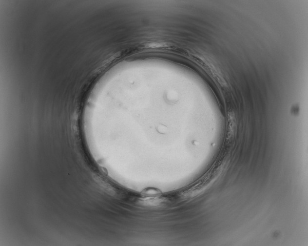 X0000116840269201001081505