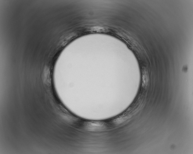 X0000116840270201001081505