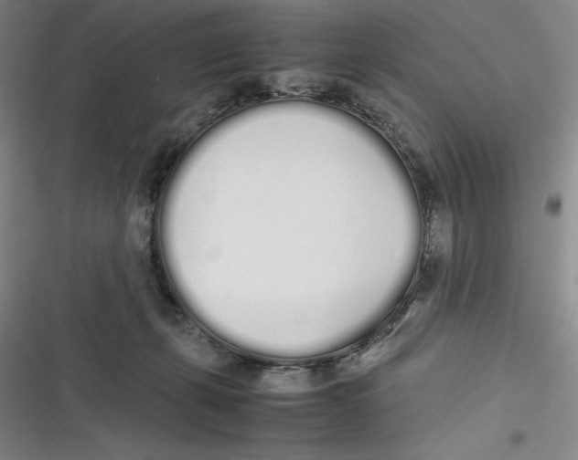 X0000116840271201001081505