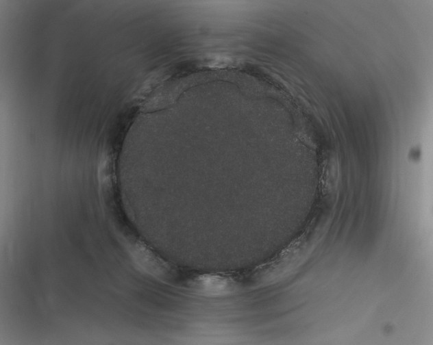 X0000116840272201001081505