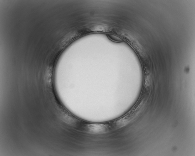 X0000116840273201001081505