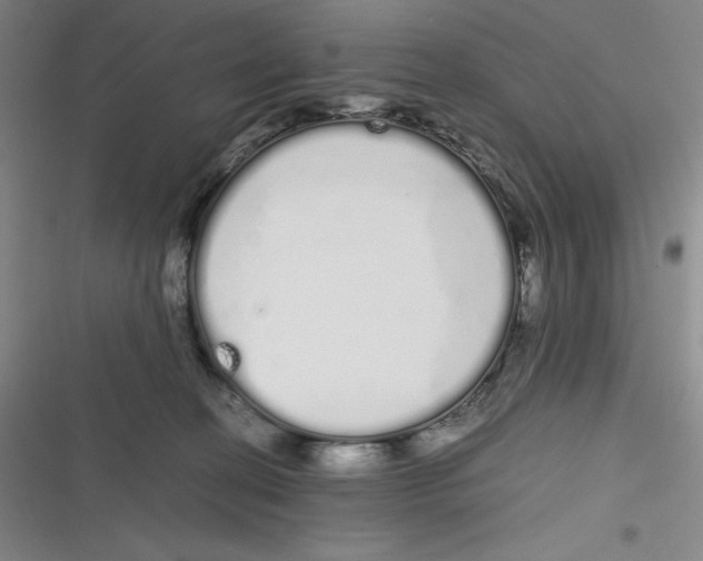 X0000116840274201001081505