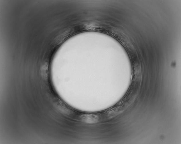 X0000116840275201001081505