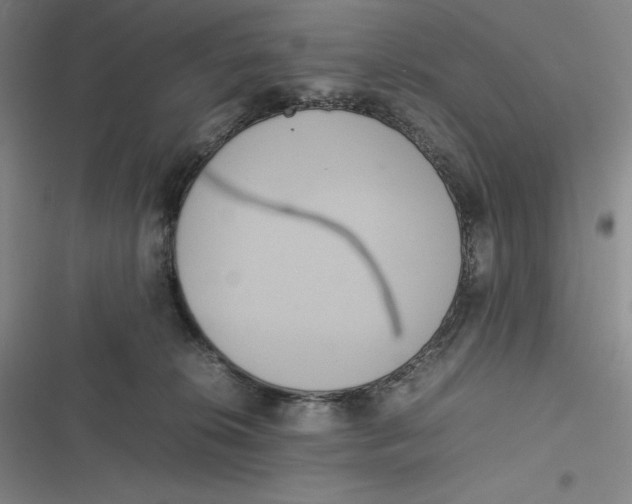 X0000116840276201001081505