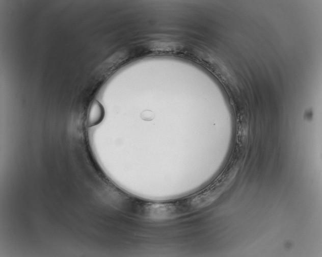 X0000116840277201001081505