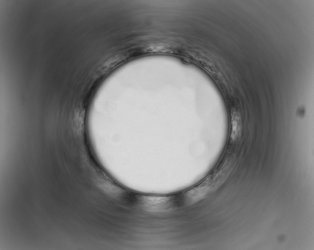 X0000116840278201001081505