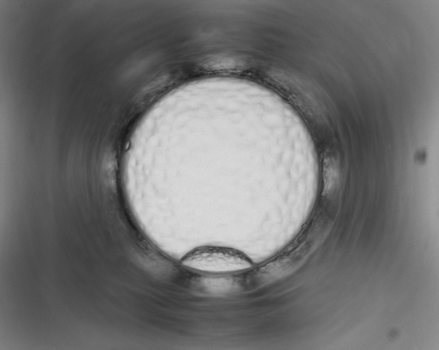 X0000116840279201001081505