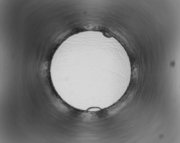 X0000116840280201001081505