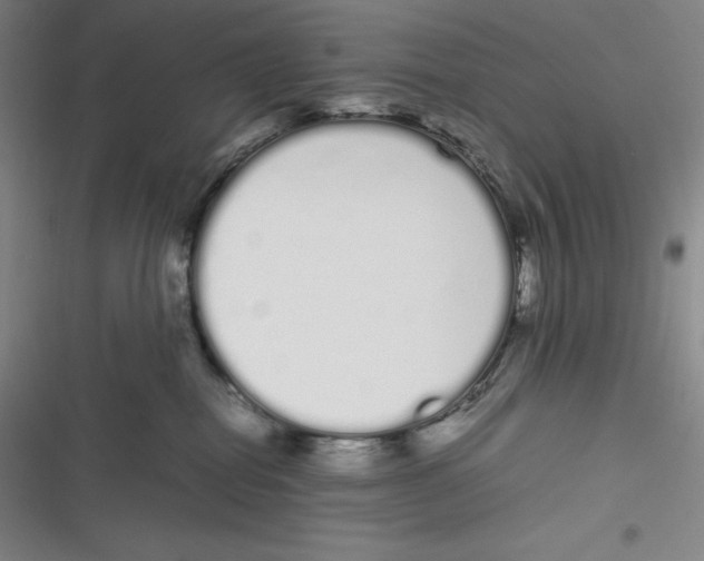 X0000116840282201001081505