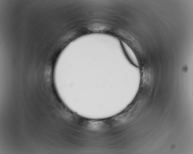 X0000116840283201001081505