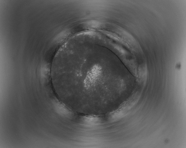 X0000116840284201001081505