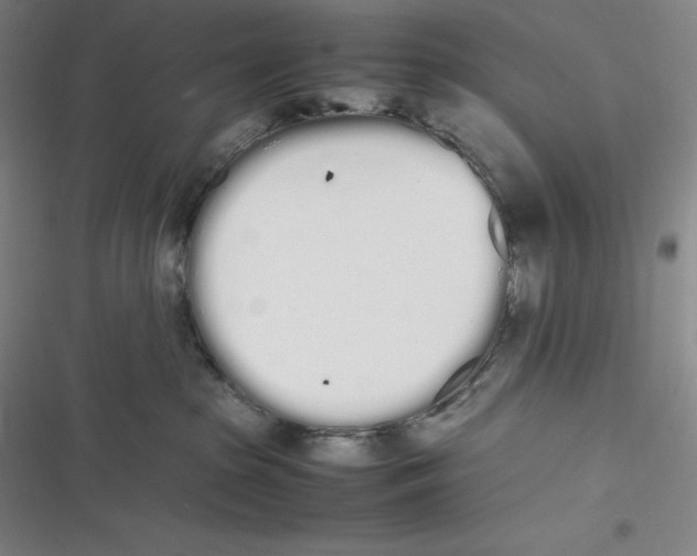 X0000116840285201001081505