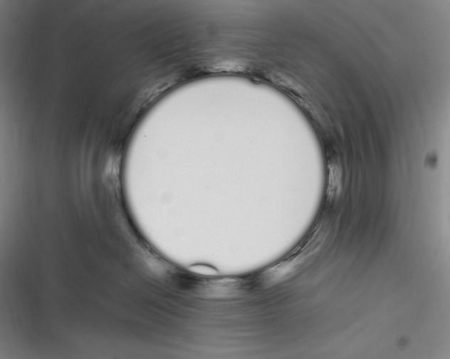 X0000116840286201001081505