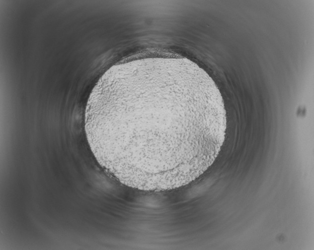 X0000116840288201001081505