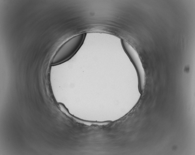 X0000116840289201001081504