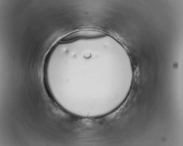 X0000116840290201001081504