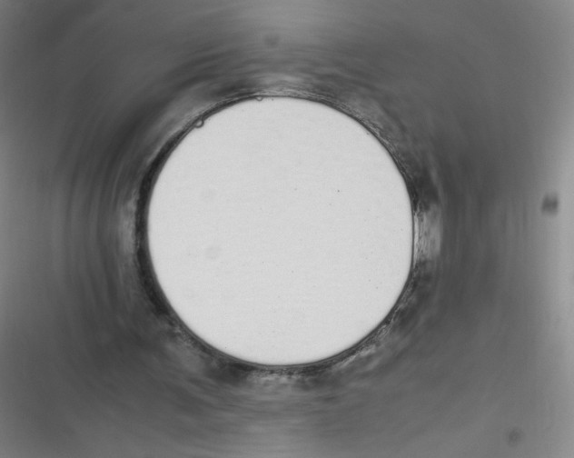 X0000116840291201001081504