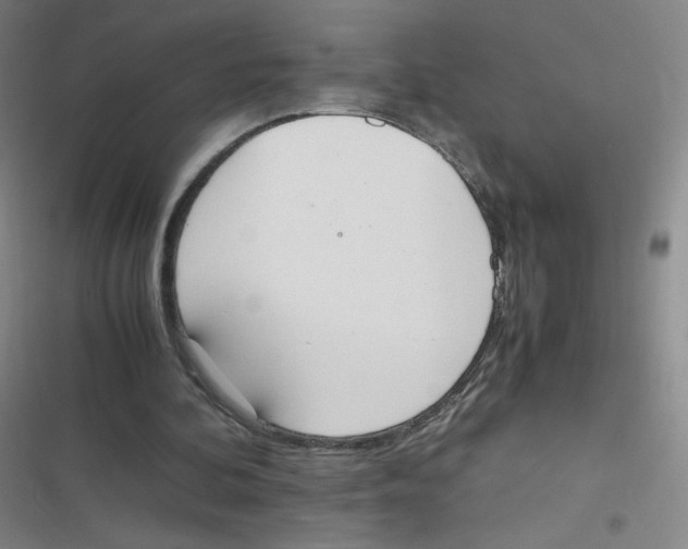 X0000116840292201001081504