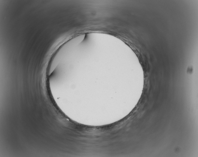 X0000116840293201001081504