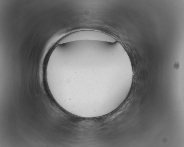 X0000116840294201001081504