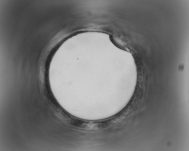 X0000116840295201001081504