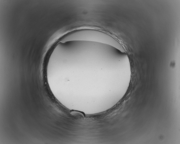 X0000116840296201001081504