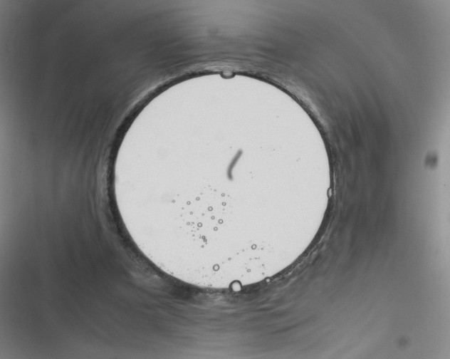 X0000116840297201001081504