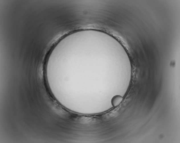 X0000116840298201001081504