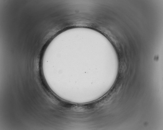 X0000116840299201001081504