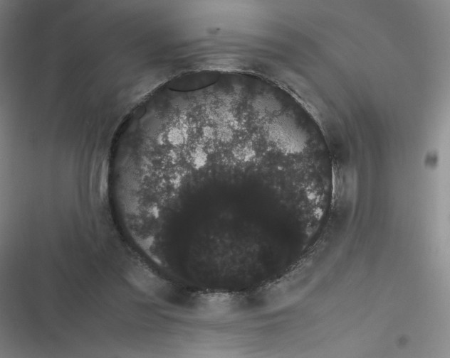 X0000116840301201001081504