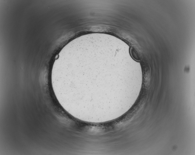 X0000116840303201001081504