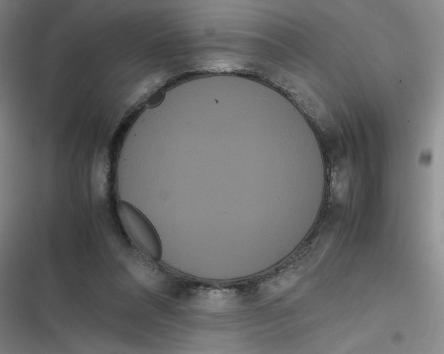 X0000116840304201001081504