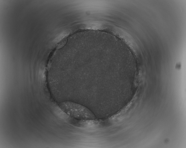 X0000116840305201001081504