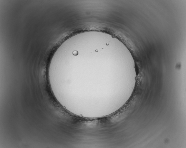 X0000116840306201001081504