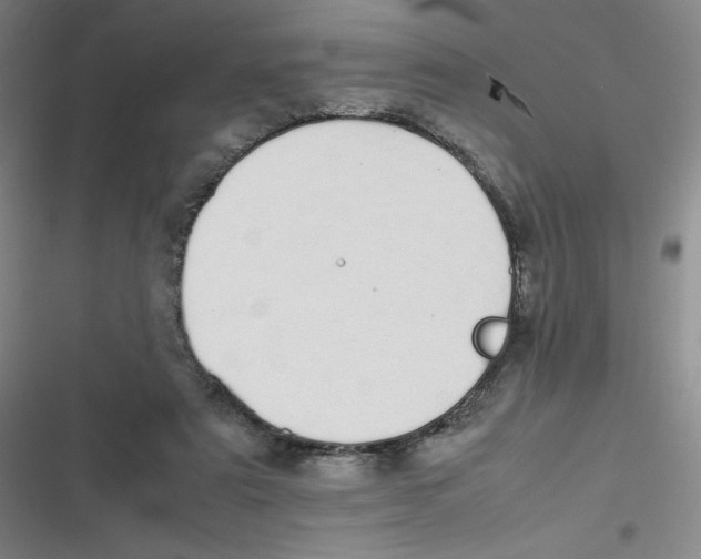 X0000116840307201001081504