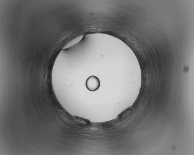 X0000116840308201001081504