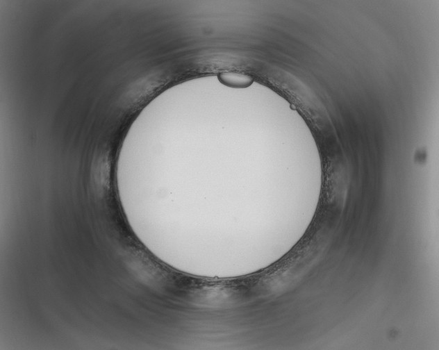 X0000116840310201001081504