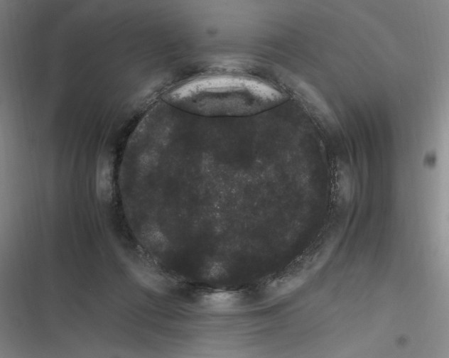 X0000116840312201001081504