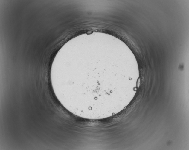 X0000116840313201001081504