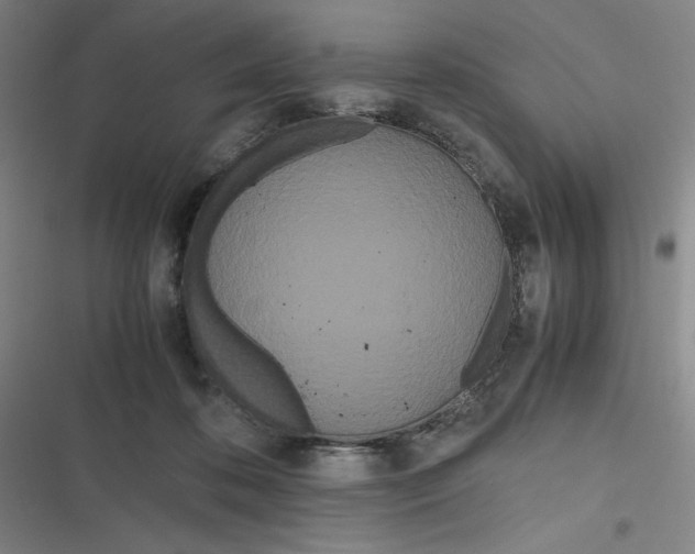 X0000116840316201001081504