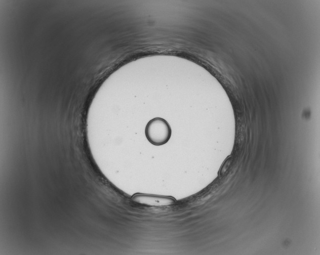 X0000116840317201001081504