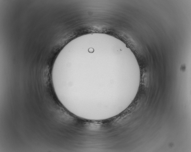 X0000116840318201001081504